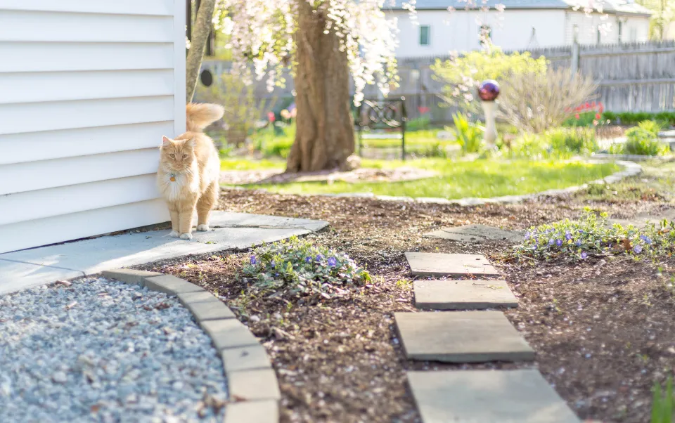 Garden with stepping stones, a gravel border, and planting beds beside a house