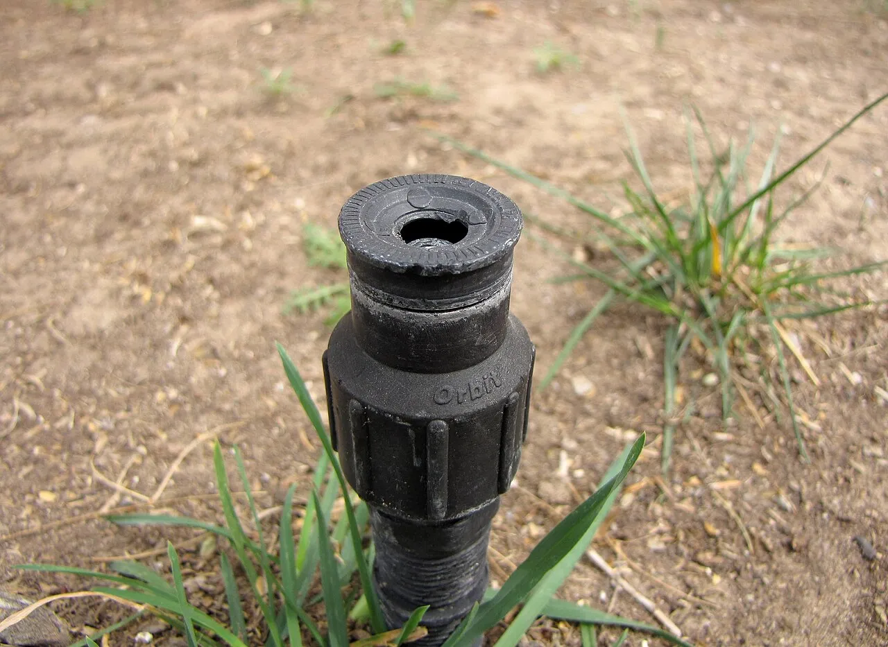 Close-up of a sprinkler head in a yard