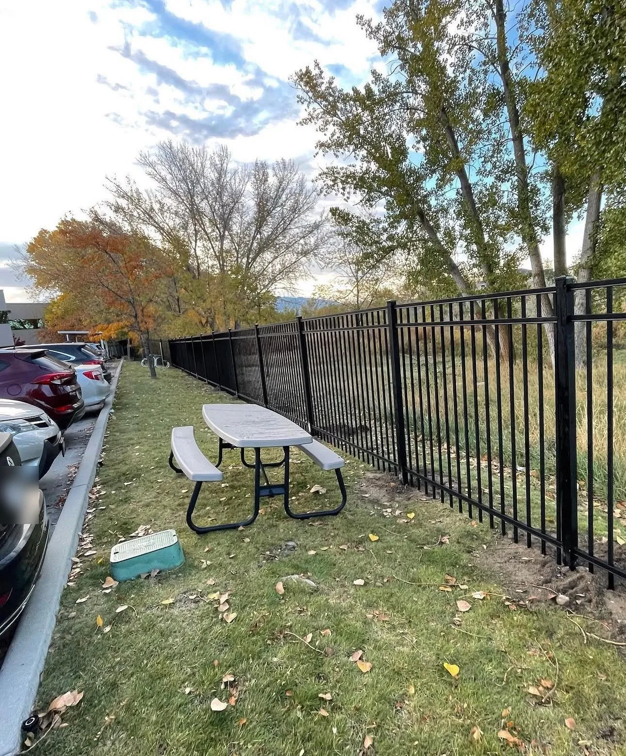 Black aluminum fence along the green area of a commercial property